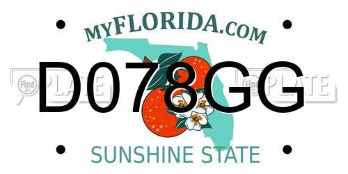 D078GG Florida License Plate