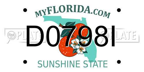 D0798I Florida License Plate