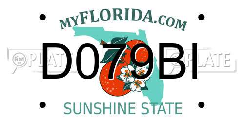 D079BI Florida License Plate