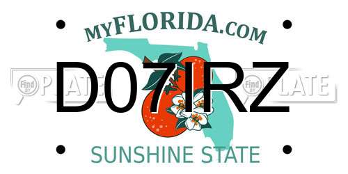D07IRZ Florida License Plate