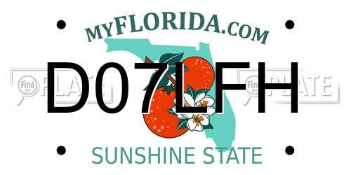 D07LFH Florida License Plate