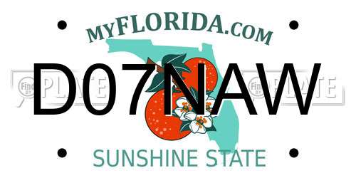 D07NAW Florida License Plate