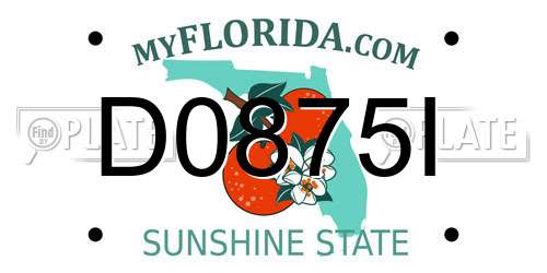 D0875I Florida License Plate