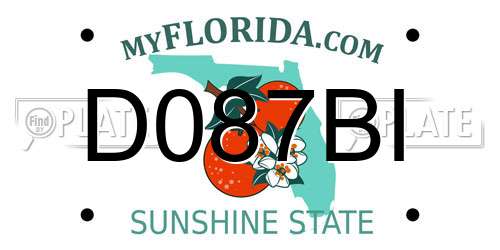 D087BI Florida License Plate