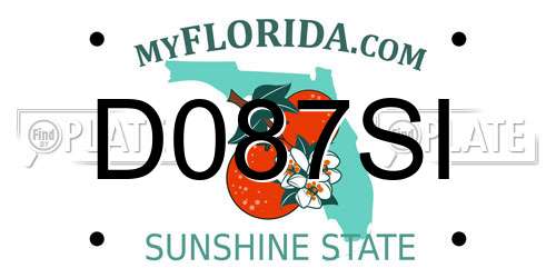 D087SI Florida License Plate