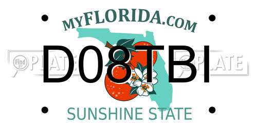 D08TBI Florida License Plate
