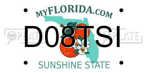 D08TSI Florida License Plate