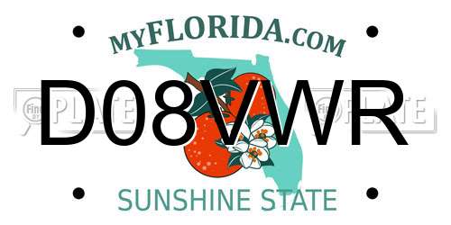 D08VWR Florida License Plate
