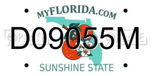 D09055M Florida License Plate