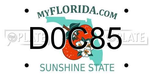 D0C85 Florida License Plate