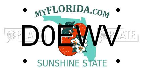 D0EWV Florida License Plate