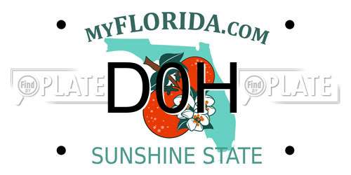 D0H Florida License Plate