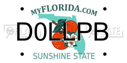 D0LLPB Florida License Plate