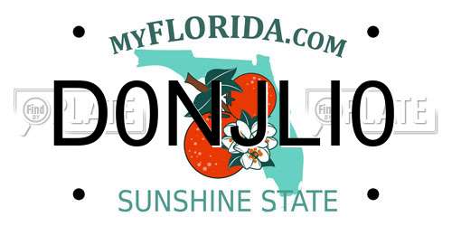 D0NJLI0 Florida License Plate