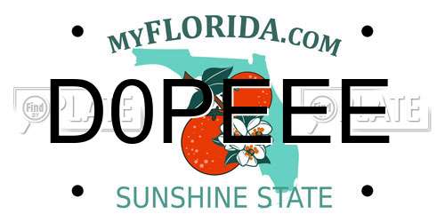 D0PEEE Florida License Plate