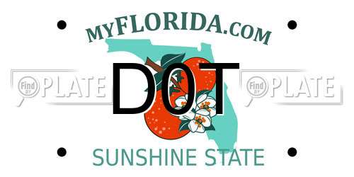 D0T Florida License Plate
