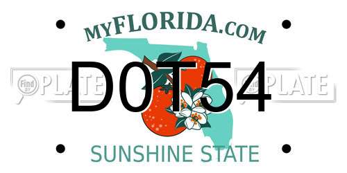 D0T54 Florida License Plate