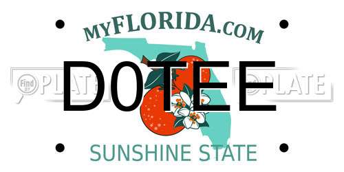 D0TEE Florida License Plate
