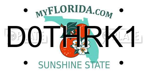 D0THRK1 Florida License Plate
