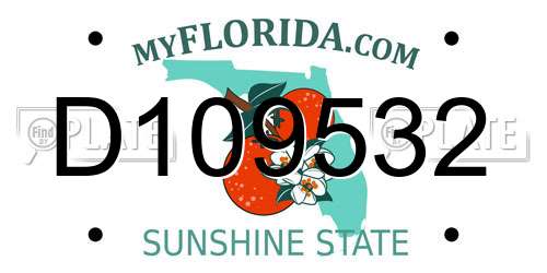 D109532 Florida License Plate
