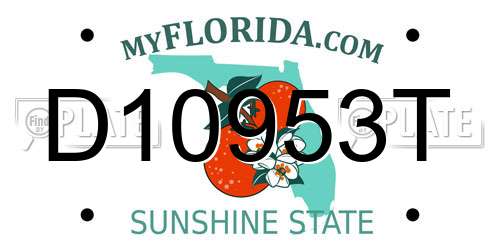 D10953T Florida License Plate