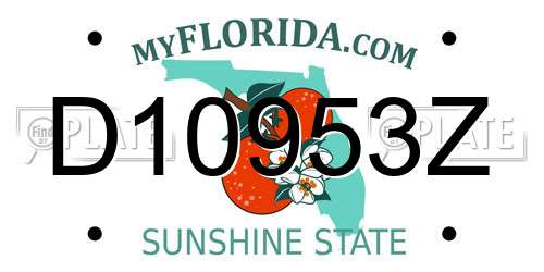 D10953Z Florida License Plate