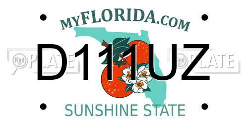 D111UZ Florida License Plate