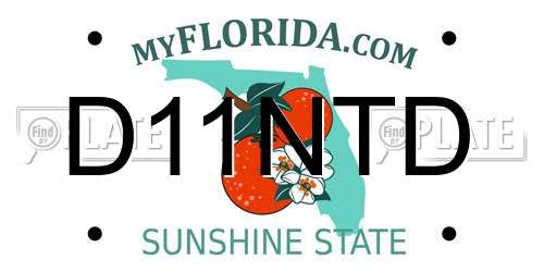 D11NTD Florida License Plate