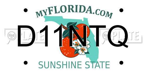 D11NTQ Florida License Plate