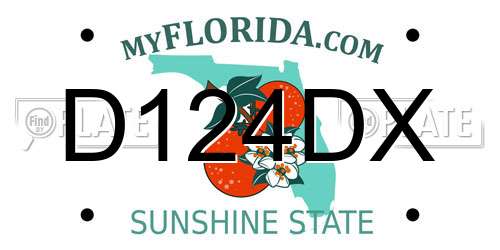 D124DX Florida License Plate