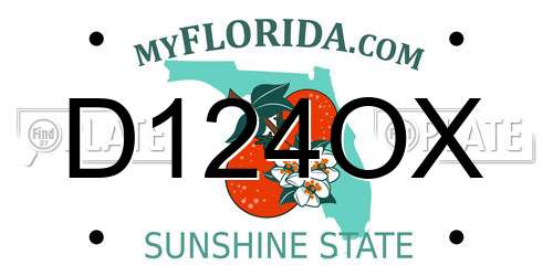 D124OX Florida License Plate