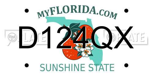 D124QX Florida License Plate