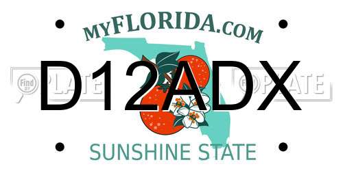 D12ADX Florida License Plate