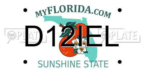D12IEL Florida License Plate