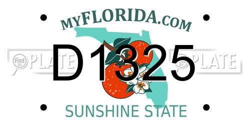 D1325 Florida License Plate