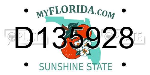 D135928 Florida License Plate