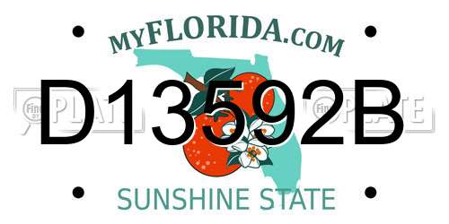D13592B Florida License Plate