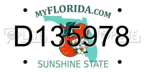 D135978 Florida License Plate