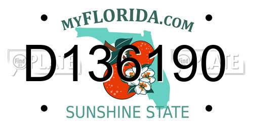 D136190 Florida License Plate