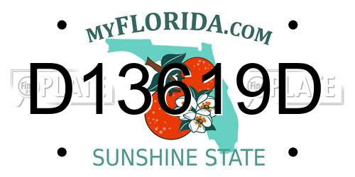 D13619D Florida License Plate