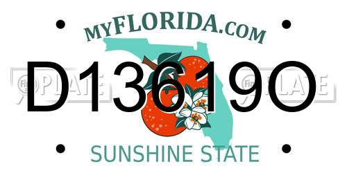 D13619O Florida License Plate