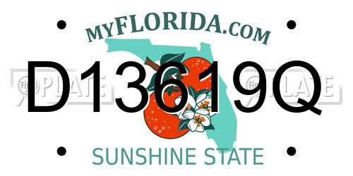 D13619Q Florida License Plate