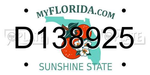 D138925 Florida License Plate