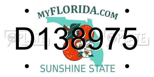 D138975 Florida License Plate