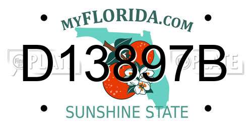 D13897B Florida License Plate