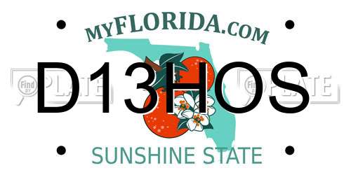D13HOS Florida License Plate