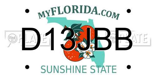 D13JBB Florida License Plate
