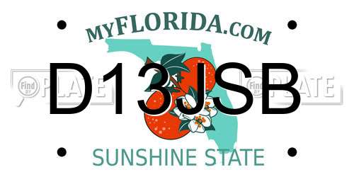 D13JSB Florida License Plate