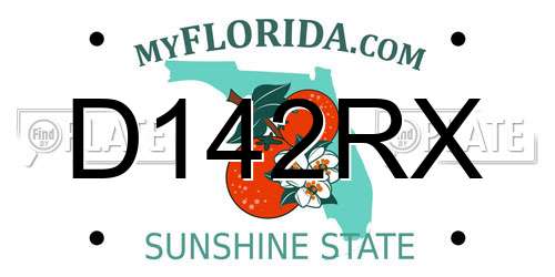 D142RX Florida License Plate