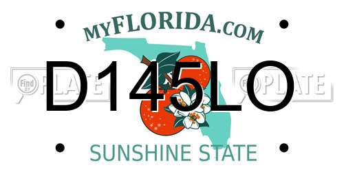 D145LO Florida License Plate